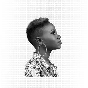 欧洲老太太做鸡
