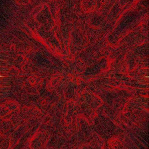 欧洲老太太做鸡
