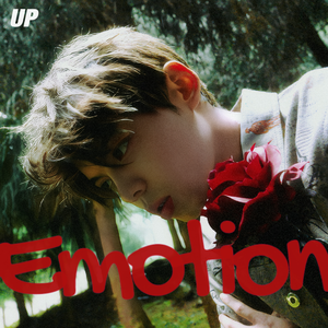 欧洲老太太做鸡
